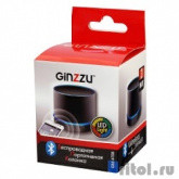 Ginzzu GM-870B {3Вт, 150Гц-18КГц, 300мАч, microSD, USB-flash, FM-радио, светодиодная подсветка музыкального сопровождения, цвет: черный}