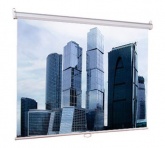 Экран Lumien 200x200см Eco Picture LEP-100103 1:1 настенно-потолочный рулонный