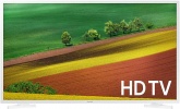Телевизор LED Samsung 32" UE32N4010AUXRU белый/HD READY/DVB-T2/DVB-C/DVB-S2/USB (RUS)