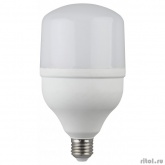ЭРА Б0027000 Светодиодная лампа LED smd POWER 20W-2700-E27