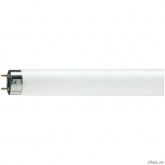Лампа люминесцентная  Philips TL-D  G13 36W/33-640 SLV