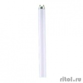 Лампа люминесцентная Osram Basic G13 36W/640